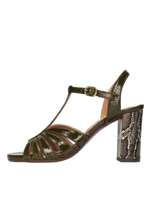  CHIE MIHARA | BALTA40 SALOUHUNT